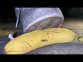 Toys And Banana Trample Special Offer
