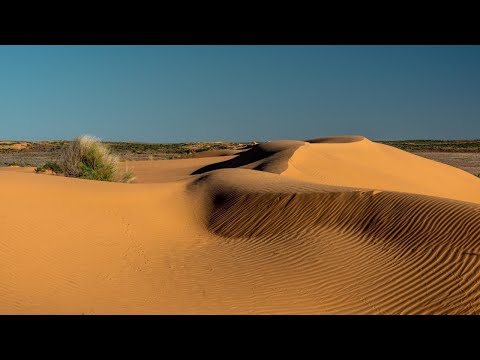 Floods leave family stranded in SA desert
