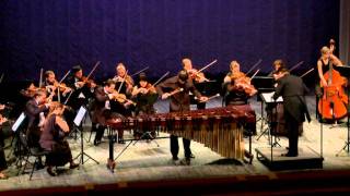 Emmanuel Sejourne Marimba Concerto mov.1