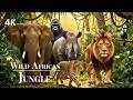 Untamed Africa 4K Wild African Jungle Animals Relaxing Music