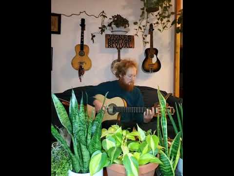 The Vignes Rooftop Revival -- A La Campagne (live)