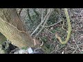 POV Chainsaw Dog Tooth Cut