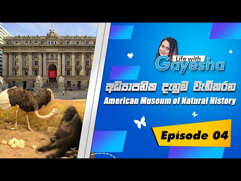 Life with Gayesha EP4- දරුවන්ගේ අද්‍යාපනික දැනුම වැඩිකරන Museum එක බලන්න ගිය ගයේශා #travel #newyork