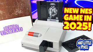 This New NES Game Is BADASS! Echoes Of The Unread Cartridge Is Coming Soon!