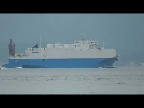 Ro Ro Cargo HARU MARU NO 3 10 2023