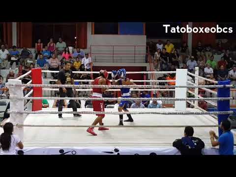 Cristian Castillo Vs Alan Alcantar buena pelea Tato boxeo bcs