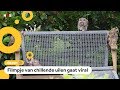 Hélène heeft 4 (!) brutale uilen in de tuin
