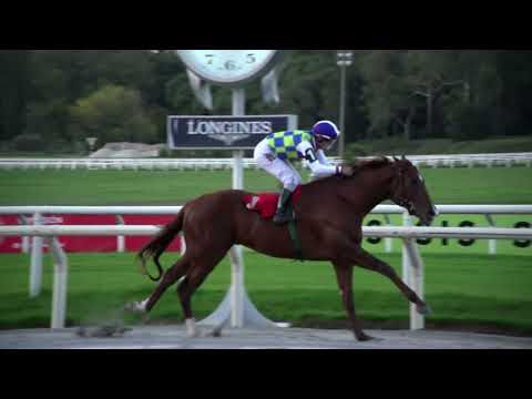 26/05/2023 – Hipodromo Maroñas – Carr 4 – TOMBOLO (2012)
