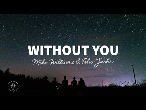 Mike Williams & Felix Jaehn - Without You (Lyrics) ft. Jordan Shaw