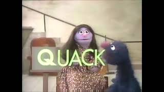Sesame Street - The Question Song(Funny Version)