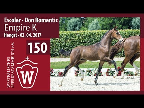 150 Empire K  Hengst v.  Escolar - Don Romantic