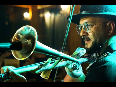 Dan Moisa 🤠🎻🌿💃🏆🔥💖 Armonii de Bihor- Vioara cu Goarnă - 2024