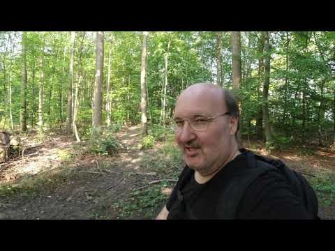 MongoTV_3550 - Danish Vlog - Skovtur i Frederiksdal MANDAG 26.August 2019