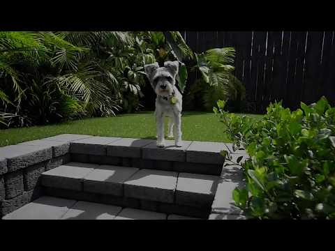 Raywhite Maguires One Team - 770a Remuera Road