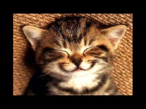 Devilect - Just Smile (Original Mix)