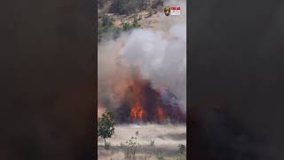 Download lagu Aksi Prajurit TNI AD Dalam Latihan Gabungan TNI 2023 mp3 Download lagu Aksi Prajurit TNI AD Dalam Latihan Gabungan TNI 2023 mp3