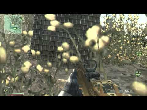 EGL 8 Update: Optic loss to TCM