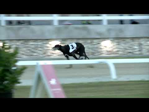 2020.07.10. 01. futam - July Trophy S1