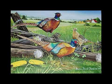 Ana Zlochova - na zelenej lučke