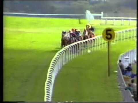 Horse Racing 1987 Epsom Oaks