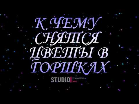 ТОЛКОВАТЕЛЬ СНОВ ~ ЦВЕТЫ В ГОРШКАХ, К ЧЕМУ СНЯТСЯ ВО СНЕ