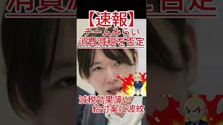 チームみらい消費減税を否定 事業者負担や価格転嫁に弱点 #政治 #自民党 #国会中継 #防衛 #自 #共産党 #国民民主党 #立憲民主党