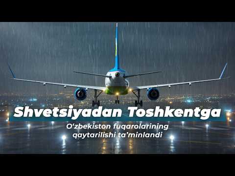 Жонли трансляция