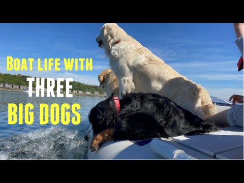 A Scottish PARADISE - Sailing Ragdoll [Ep 8]