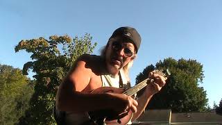 the fact remains - aggressive accoustic