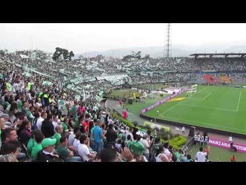 "CÃNTICOS LOS DEL SUR | AtleÌtico Nacional 7   AtleÌtico Bucaramanga 0, Fecha 11, Liga Ãguila 201" Barra: Los del Sur • Club: Atlético Nacional