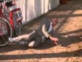 Pee Wee S Laugh