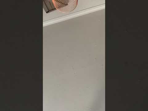 Zydeco on the triple note