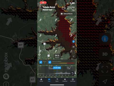 Deep Dive - Bass Fishing App