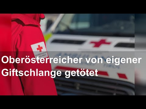 Oberösterreicher von eigener Giftschlange getötet