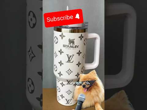 Stanley cup if you... #stanleycup #funny #dog #fashion #funnydog #shorts #fypシ゚