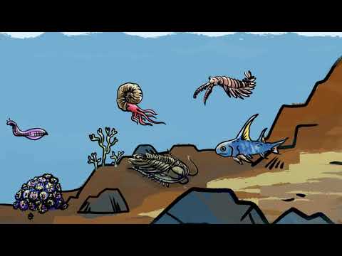 Comment les animaux sont apparus sur terre ?