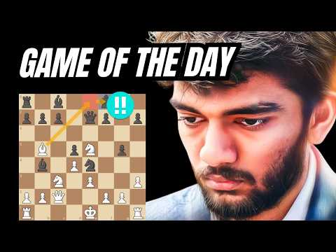 The World Chess Champion Is Officially Insane