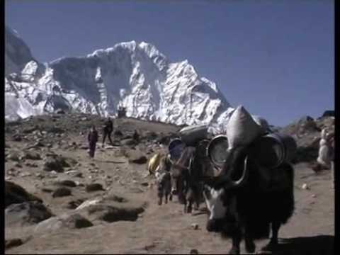 Silvio "Gnaro" Mondinelli - Tra Cielo e Terra