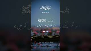 Download lagu SURAH NAZIAT❤|VERSE NO 41_46| WITH TRANSLATION | #loveallahswt #islamicrecitation #lovequran mp3
