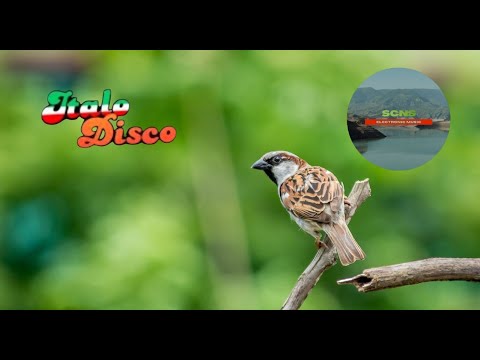 Ayhouse & Tomkay feat  Tommy Clint  -  Break Away  -  Radio Edit