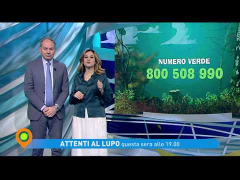 "Attenti al lupo" - "Risparmio" giovedì 5 dicembre alle 19 su Tv2000