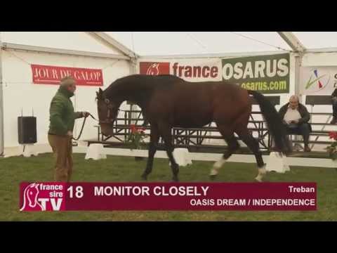 Monitor Closely - Etalon Show du Centre Est 2015