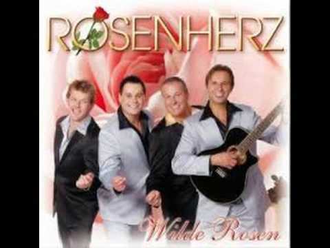 Es War Vielleicht Gedankenlos - Rosenherz