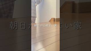 [休日vlog]何気ない日常が充してくれる #vlog #ミニマリスト
