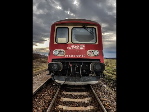 route building - hora cu brazi!