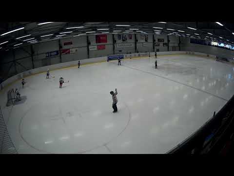 HC Lvi ČB - HC Milevsko III.tř. Březen 2019