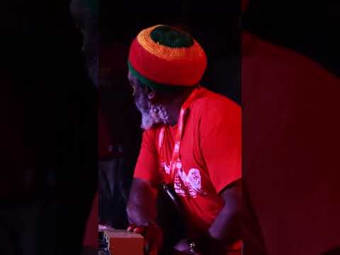 Channel One Sound Massive Forward at Dub Camp Festival on playing this Pablo Moses anthem | #shorts