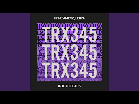 Into The Dark (Extended Mix)