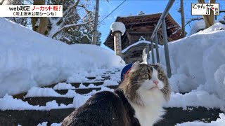 Vol.143「にゃん旅鉄道」飯盛山にやってきたにゃ