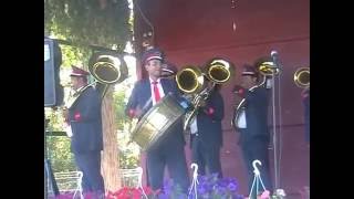 Fanfara de la Valea Mare - Colaj 2016